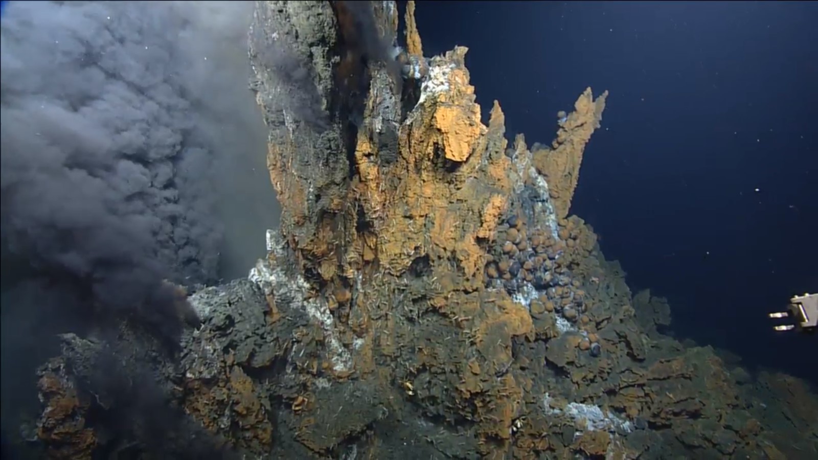 image of hydrothermal vents